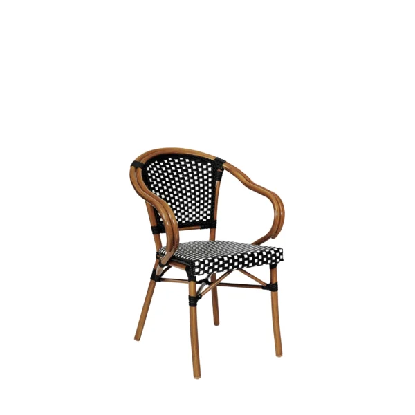 PE Rattan Chair-ZF2037C
